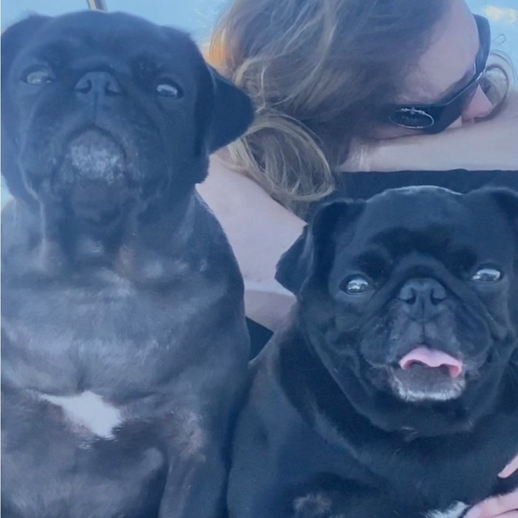 🌟🌟🌟🌟🌟 AMBASSADOR - Picture 8 of 16